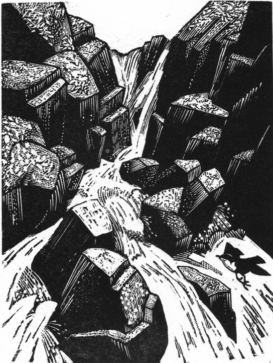 SHIPLEY GORGE WITH DIPPER.wood engraving