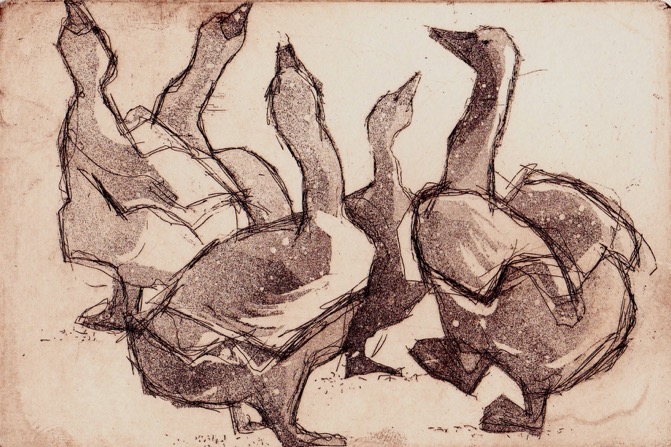 GOOSE STEP etching.MG
