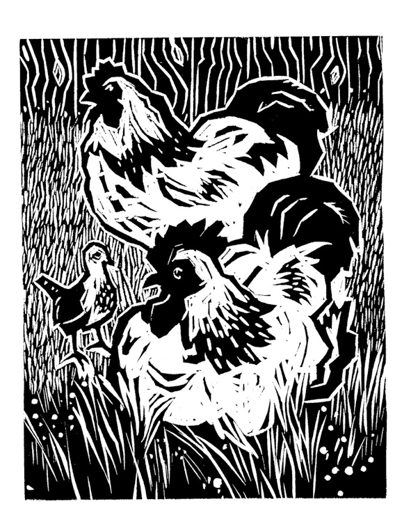 Bantams